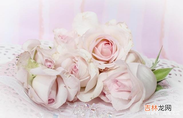 网上看到一个这样的问题：“为什么越长大 人生苦短，守住3件事，后半生才能活得舒服