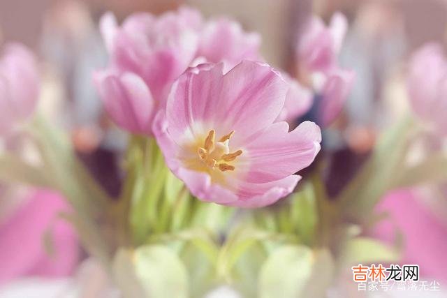爱情很坚固 如果一段感情注定没有结果，别纠缠，也别勉强