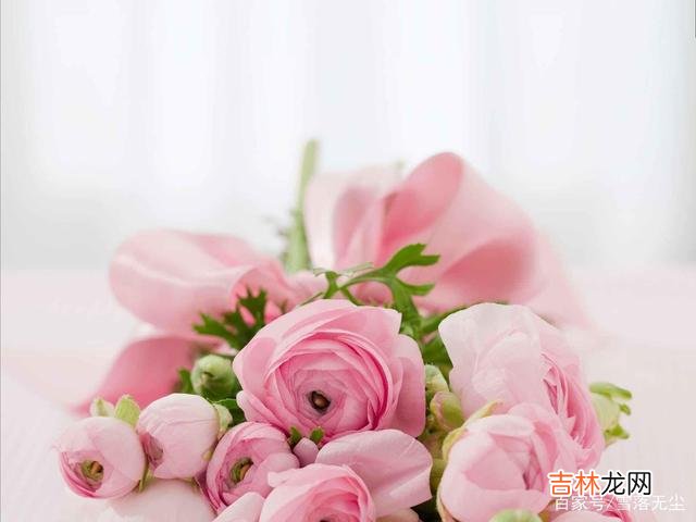 你遇到的是不是真爱，其实一句话就能概括：一屋两人三餐四季