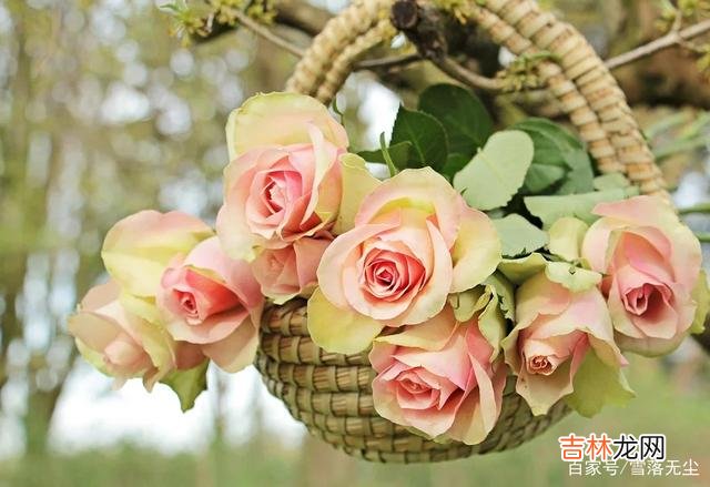 你遇到的是不是真爱，其实一句话就能概括：一屋两人三餐四季