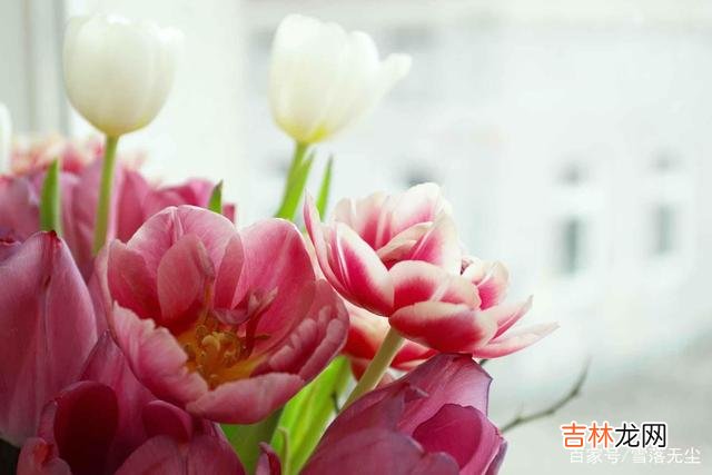 你遇到的是不是真爱，其实一句话就能概括：一屋两人三餐四季
