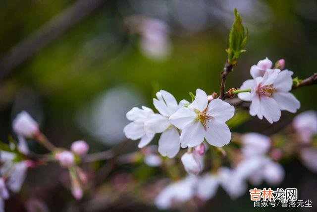 聪明人，懂得换位思考，人与人之间才能和睦相处