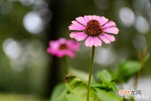 聪明人，懂得换位思考，人与人之间才能和睦相处