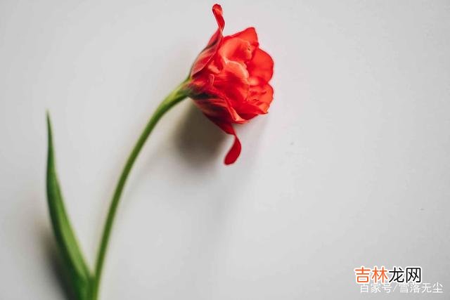 一个人说爱你，却又不想跟你结婚，背后的原因你早该看透