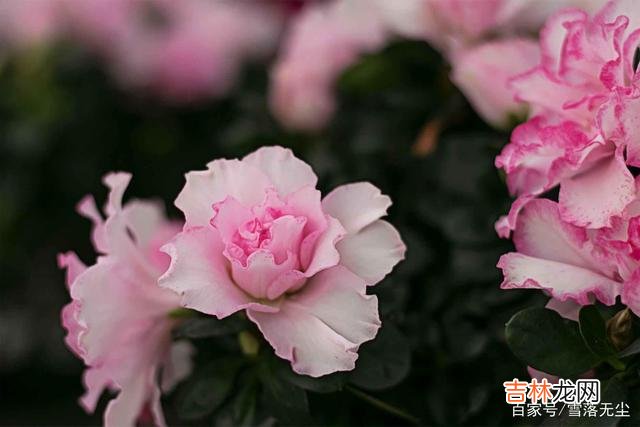 很多人认为 婚姻里，若不想越过越委屈，有些事你一件也别碰
