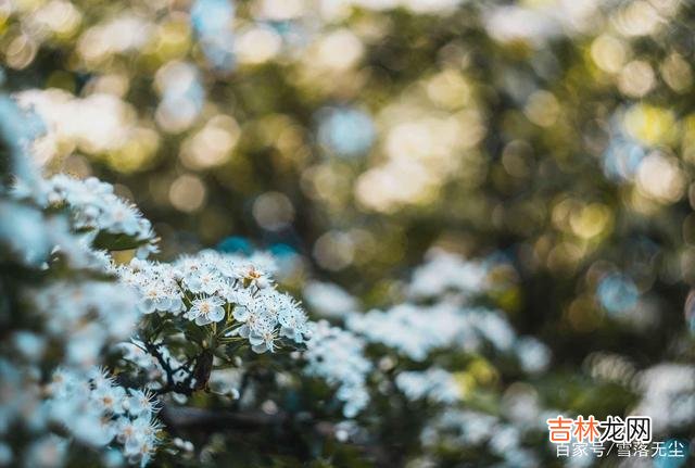 很多人认为 婚姻里，若不想越过越委屈，有些事你一件也别碰