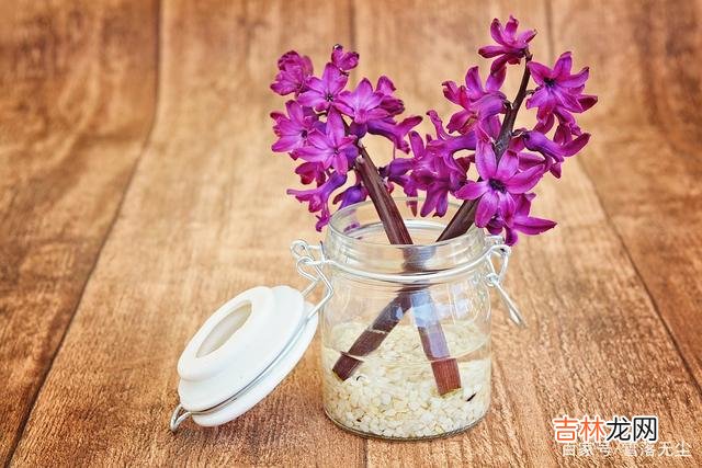 在电视剧《我的前半生》里 婚姻里，女人真正的“危机”，并不是离婚，而是失去自我