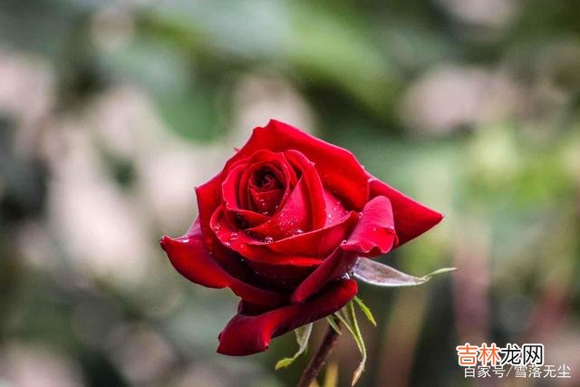 在电视剧《我的前半生》里 婚姻里，女人真正的“危机”，并不是离婚，而是失去自我