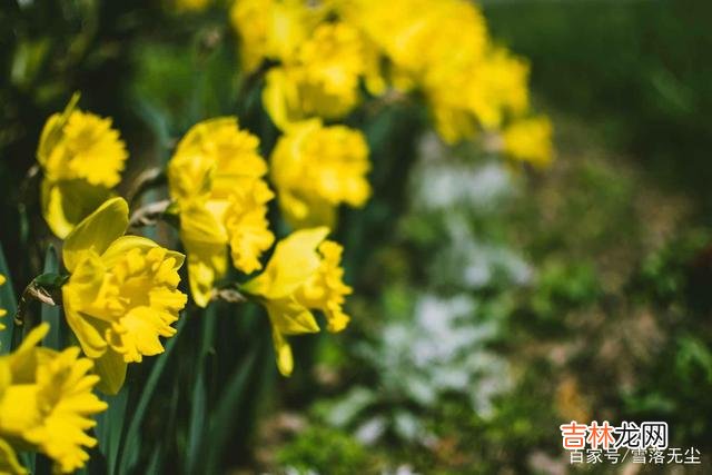 爱情是一种美好的东西 婚姻最大的“底气”，其实就一个字：钱