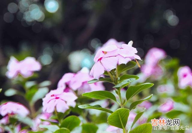 在网上看到过一个热门话题：“什么人活得最幸福？”有一个高赞回答：“幸福最重要的秘密就是 幸福的人，有种不一样的“心态”，难怪越过越舒坦