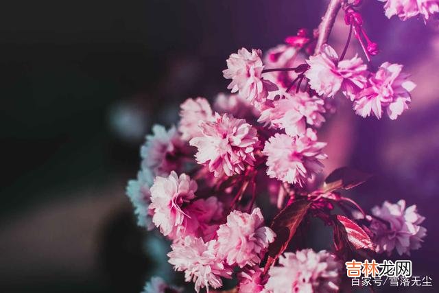 在网上看到过一个热门话题：“什么人活得最幸福？”有一个高赞回答：“幸福最重要的秘密就是 幸福的人，有种不一样的“心态”，难怪越过越舒坦