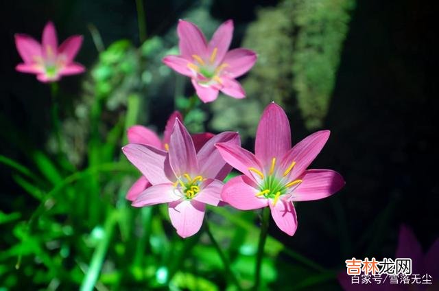 在网上看到过一个热门话题：“什么人活得最幸福？”有一个高赞回答：“幸福最重要的秘密就是 幸福的人，有种不一样的“心态”，难怪越过越舒坦
