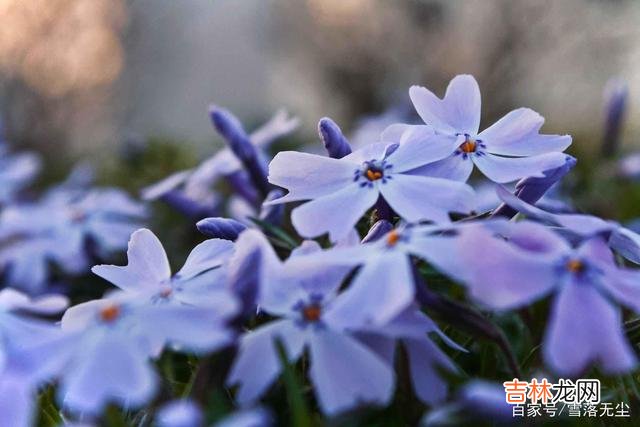 在网上看到过一个热门话题：“什么人活得最幸福？”有一个高赞回答：“幸福最重要的秘密就是 幸福的人，有种不一样的“心态”，难怪越过越舒坦