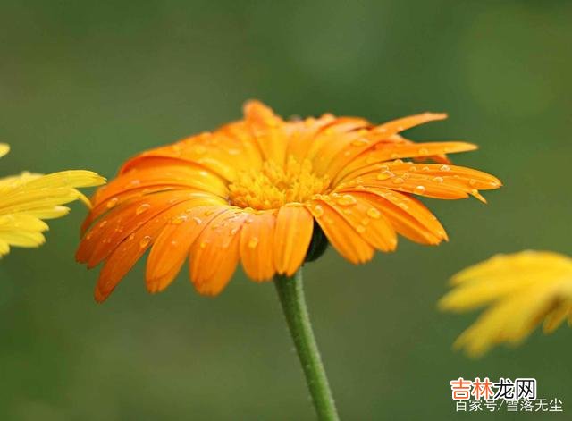 人生漫长 嫁错人和不结婚其实并不可怕,怕的是一点,是你对自己不负责任