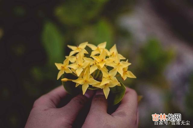 人生漫长 嫁错人和不结婚其实并不可怕，怕的是一点，是你对自己不负责任