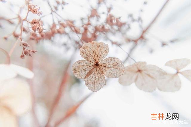 有句话是这样说的：“爱情是绿洲 无数的现实证明，夫妻之间最舒服的状态，是“双向奔赴”
