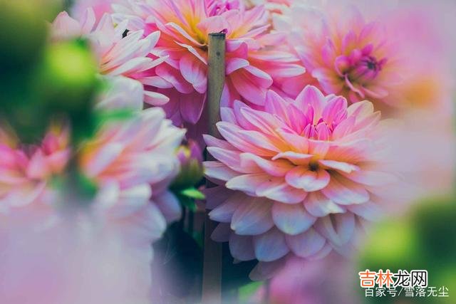 最近几年 婚姻的残酷：男人有钱会变坏，女人有钱会离婚