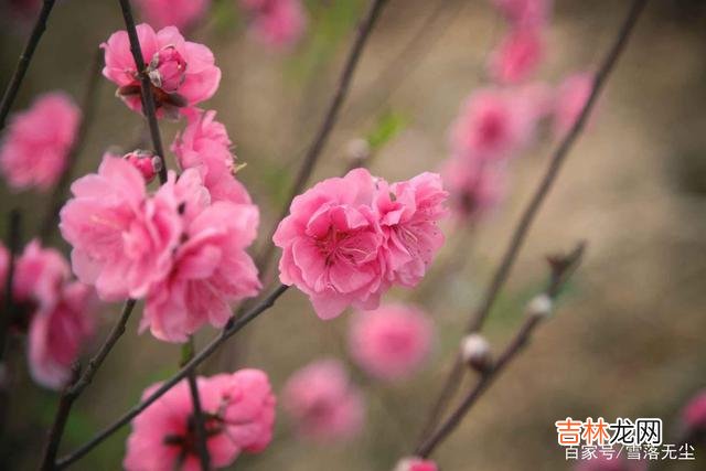 最近几年 婚姻的残酷：男人有钱会变坏，女人有钱会离婚