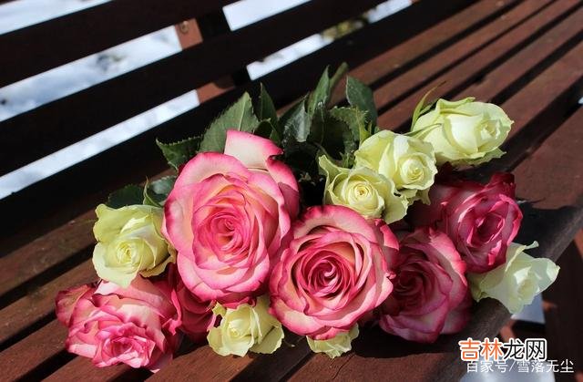 股神巴菲特说：“你人生中最重要的决定 无论跟谁结婚，有句话切记不要信，以免误了终身