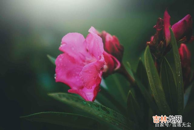 林清玄说：“心里若装了太多的垃圾 转眼半生已过，你早该学会“放过”