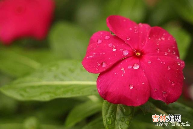 林清玄说：“心里若装了太多的垃圾 转眼半生已过，你早该学会“放过”