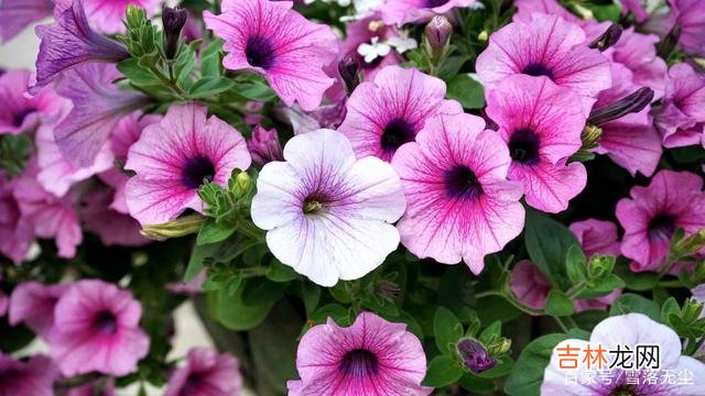 林清玄说：“心里若装了太多的垃圾 转眼半生已过，你早该学会“放过”