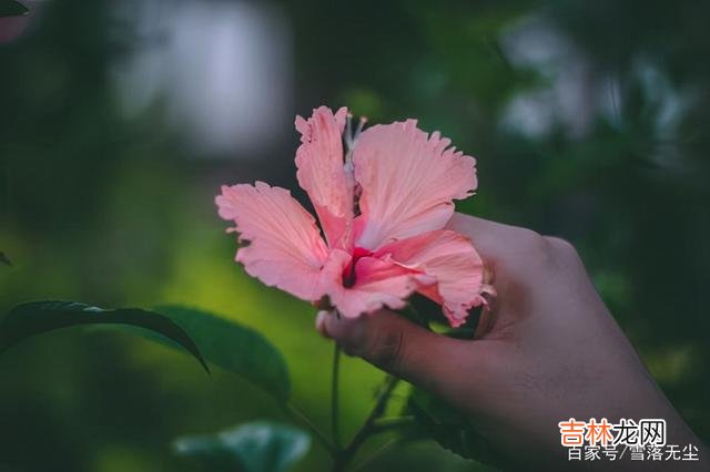 有人说 一个家能不能越过越好，看女人怎么花“钱”就知道了