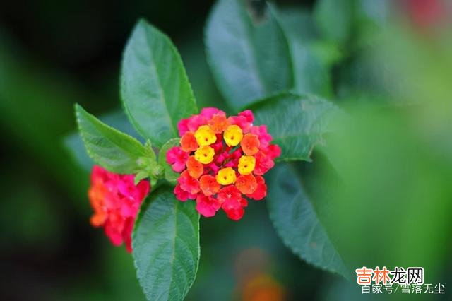 有人说 一个家能不能越过越好，看女人怎么花“钱”就知道了