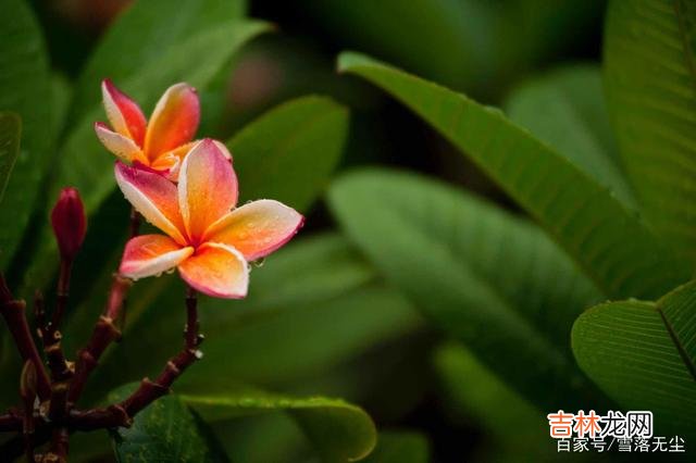 有人说 一个家能不能越过越好，看女人怎么花“钱”就知道了