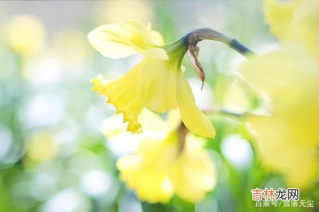 生活中 后半生，学会跟自己“和解”，才能事事顺心