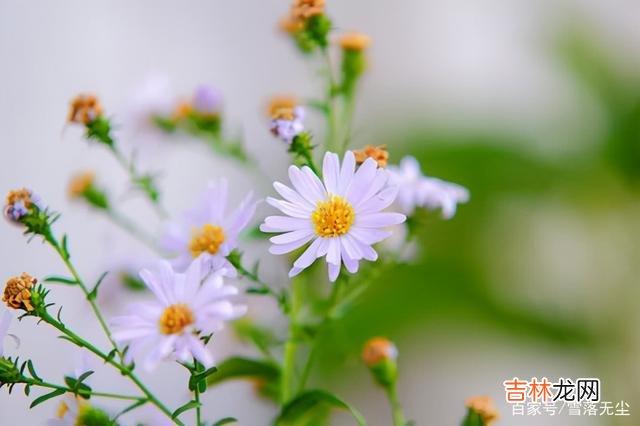 生活中 后半生，学会跟自己“和解”，才能事事顺心