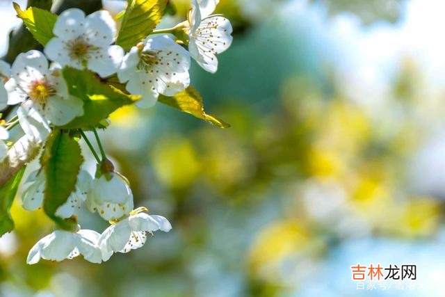 生活中 后半生，学会跟自己“和解”，才能事事顺心