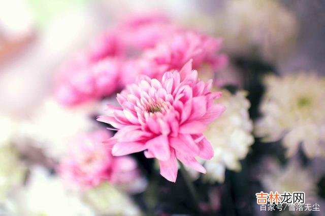 人的一生 婚姻不管怎么过，牢记住，就不会出问题