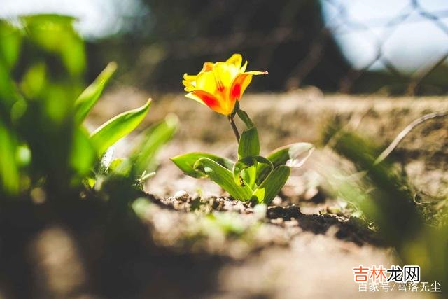 周国平说：“一部分人把婚姻过成了好的人间 让女人陷入绝境的婚姻模式：如果你也是，那就赶紧改