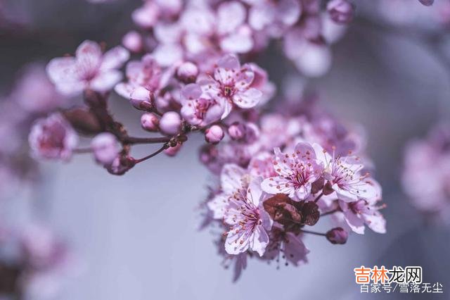 在综艺节目《我们恋爱吧》中 爱一个人，明知是错却又放不下，那就这么做吧