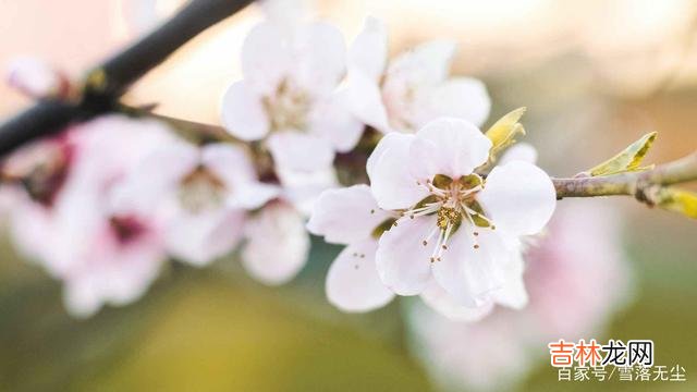 在网上看到这样一个问题：“亲戚来我家 人心险恶，唯有学会说“不”，才没人敢欺负你