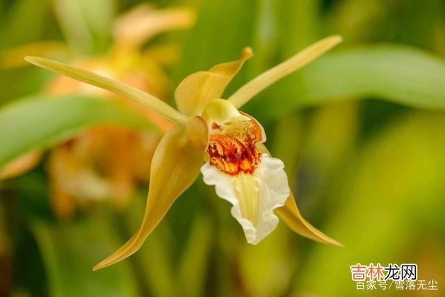 《简爱》里有这样一句话：“爱是一场博弈 婚姻是一场博弈，越有“耐力”的人，越幸福