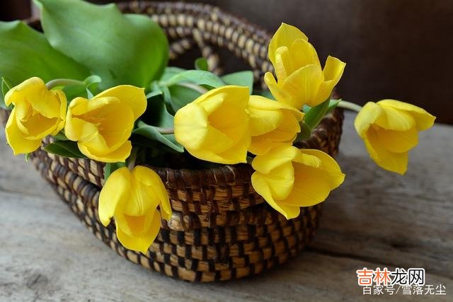 《简爱》里有这样一句话：“爱是一场博弈 婚姻是一场博弈，越有“耐力”的人，越幸福