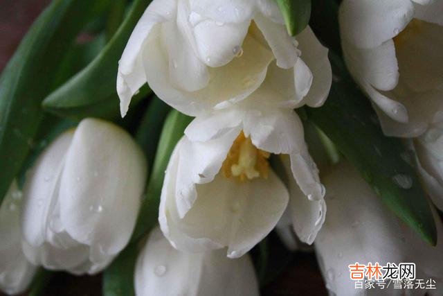 常言道 做人，守好“四不尽”，受益终生