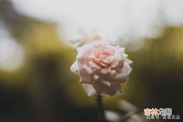 有人用“从未吵过架”来判断婚姻幸福与否 夫妻间学会一件事，哪怕天天吵，也不会伤害感情