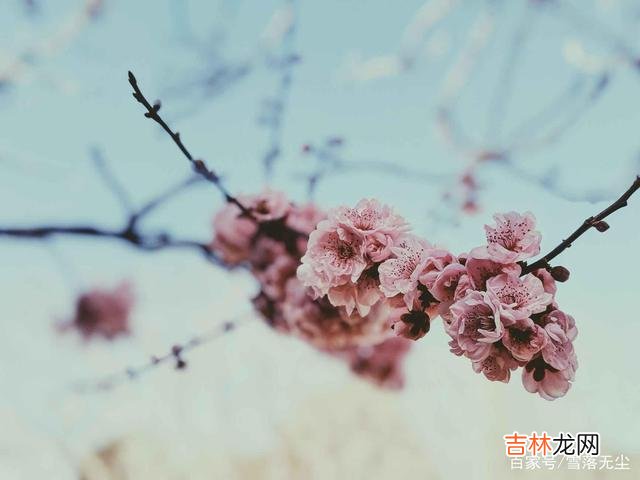 网上有个问题:“男生学历低 如果真心相爱,可以不在乎年龄和学历,但有些事你必须“计较”