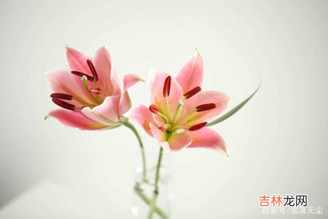 网上有个问题：“男生学历低 如果真心相爱，可以不在乎年龄和学历，但有些事你必须“计较”
