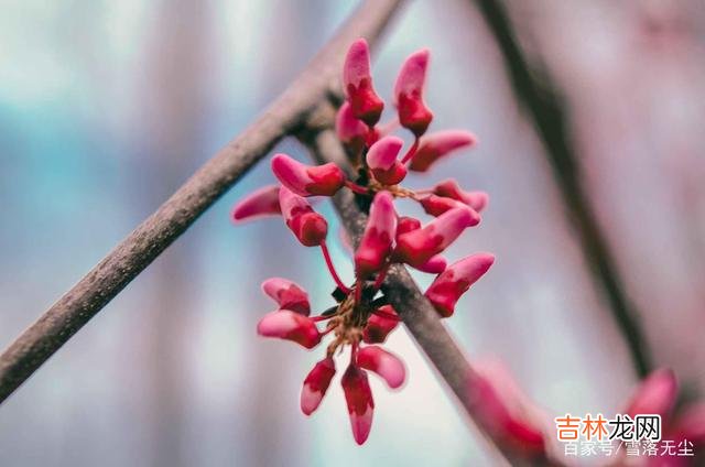 网上有个问题：“男生学历低 如果真心相爱，可以不在乎年龄和学历，但有些事你必须“计较”