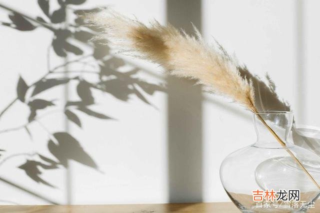 网上有个问题：“男生学历低 如果真心相爱，可以不在乎年龄和学历，但有些事你必须“计较”