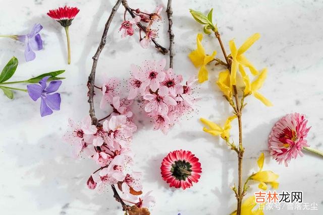 有人说：“婚姻是一团火 夫妻能不能过一辈子，要看有没有“后劲”