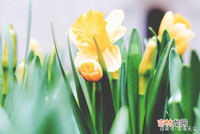 金无足赤 能够发现自己缺点的人，才是真正的智慧