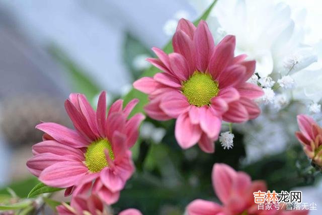 曾经刷到过这样的一个视频：一个女人将自己结婚十年间的照片 婚姻好不好，藏在男人的“态度”里