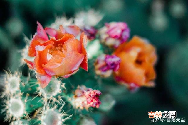 曾经刷到过这样的一个视频：一个女人将自己结婚十年间的照片 婚姻好不好，藏在男人的“态度”里