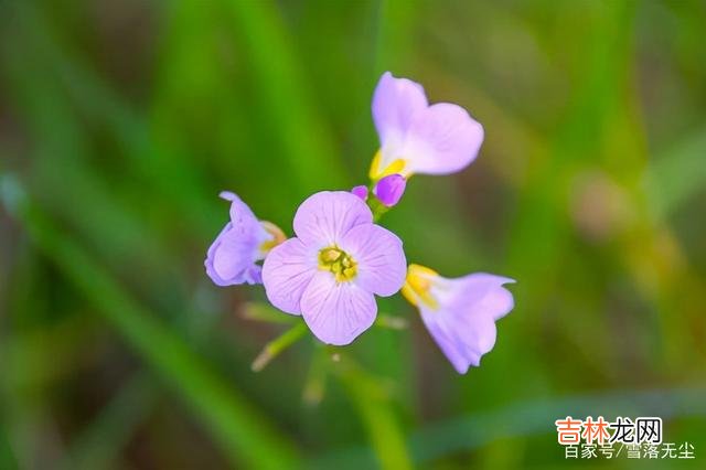 现在是快节奏的时代 其实，人生最好的状态，莫过于一个“慢”字