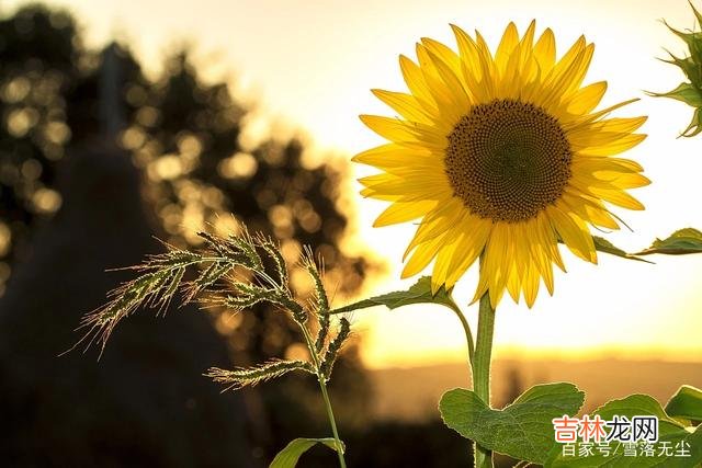 薛兆丰教授在《奇葩说》里 婚姻长久的真谛：你爱的人，能不能一辈子对你好，要看“最低处”